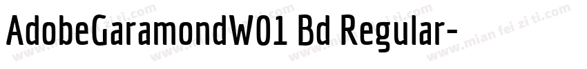 AdobeGaramondW01 Bd Regular字体转换